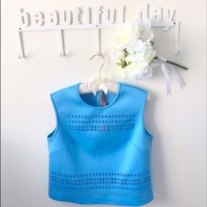 Clover Canyon laser cut blue top